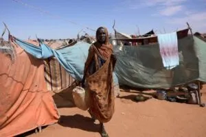 2025 12 12T114353Z 1830729828 RC2XPDACQ8DF RTRMADP 3 SUDAN FOOD UN 1765801243