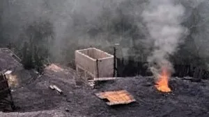 Meghalaya coal mine blast: মেঘালয়ে কয়লা খনিতে বিস্ফোরণ, ১৮ জনের মৃত্যু 19 Meghalaya Coal Mine Blast