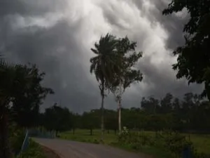 Kalbaishakhi in Bengal: শনিবার রাজ্যজুড়ে কালবৈশাখীর সতর্কতা 11 Malda weather forecast 2 1
