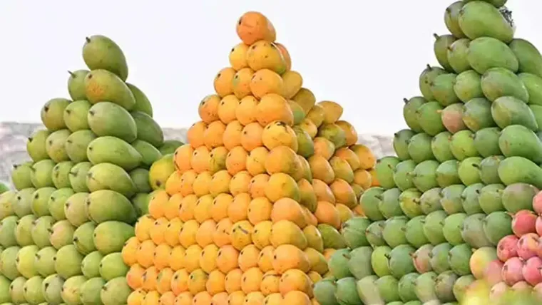 Mango inside khabor
